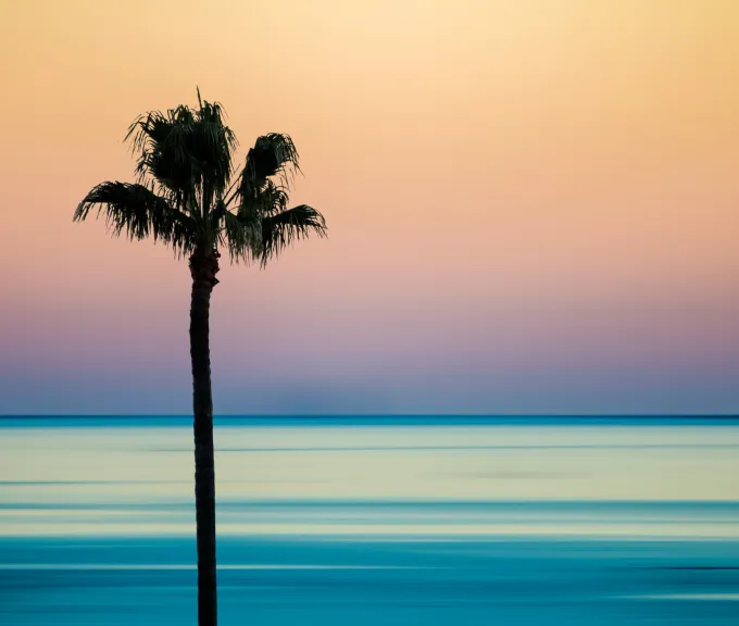 Solitude